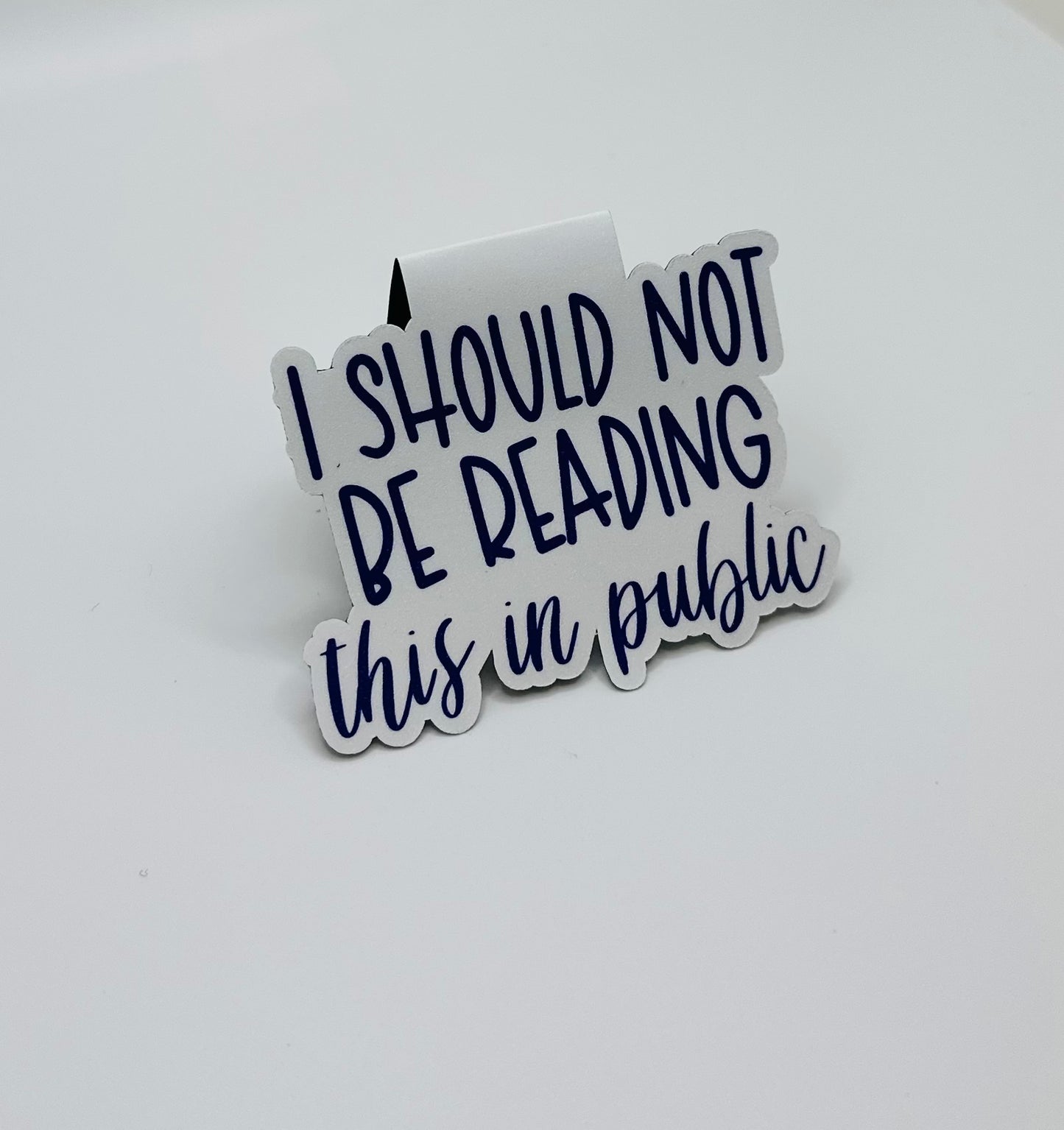 Should Not Read in Public Magnetic Bookmark