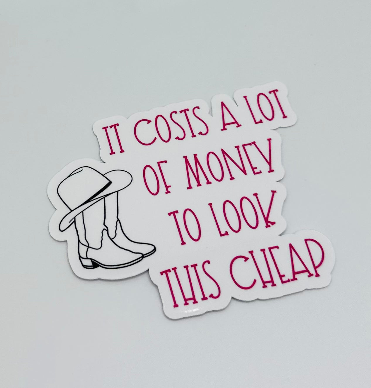 It Costs A Lot of Money Sticker