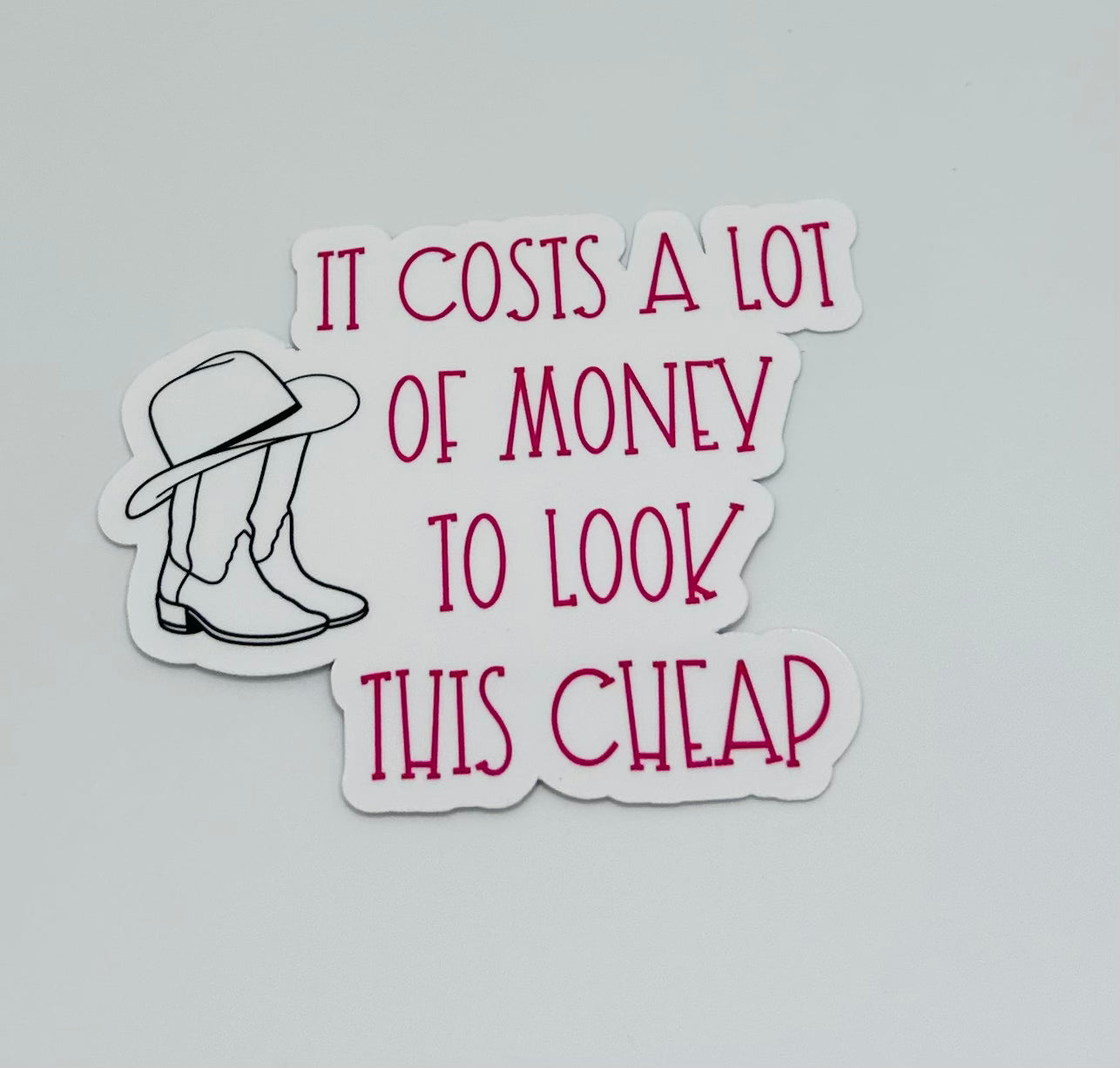 It Costs A Lot of Money Sticker