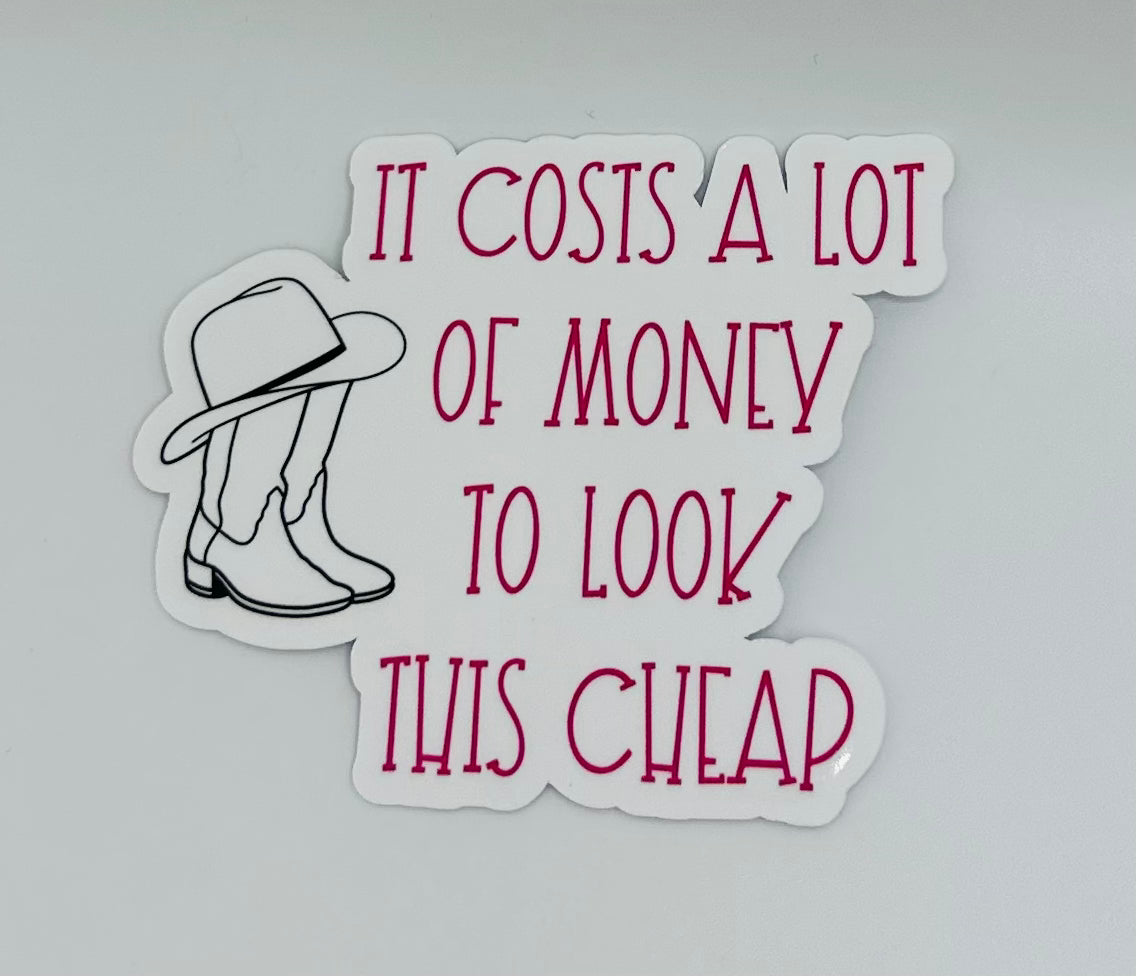 It Costs A Lot of Money Sticker